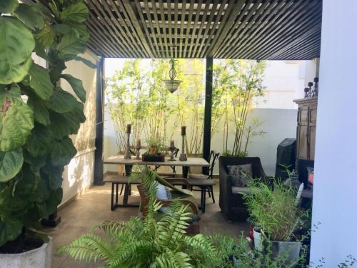 Terraza