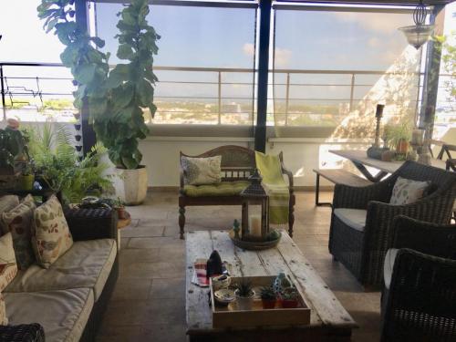 Terraza-vistas