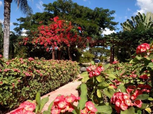 Jardines